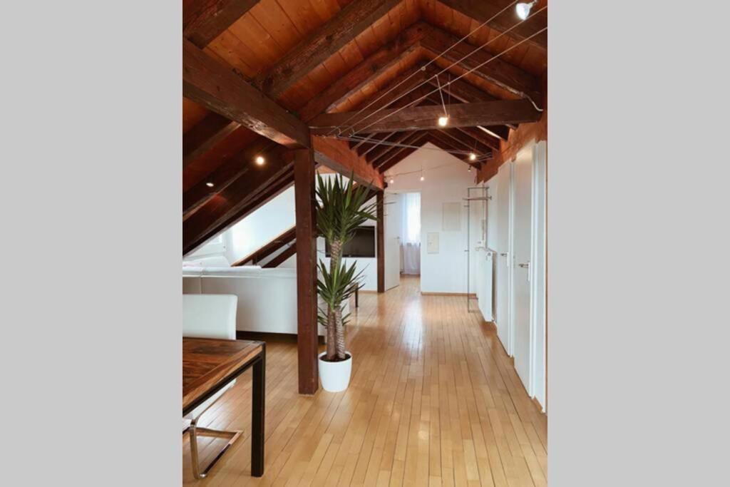 *Dreilaendereck* Wifi+ Balkon+Garage Basel Mulhouse Lägenhet Maulburg Exteriör bild